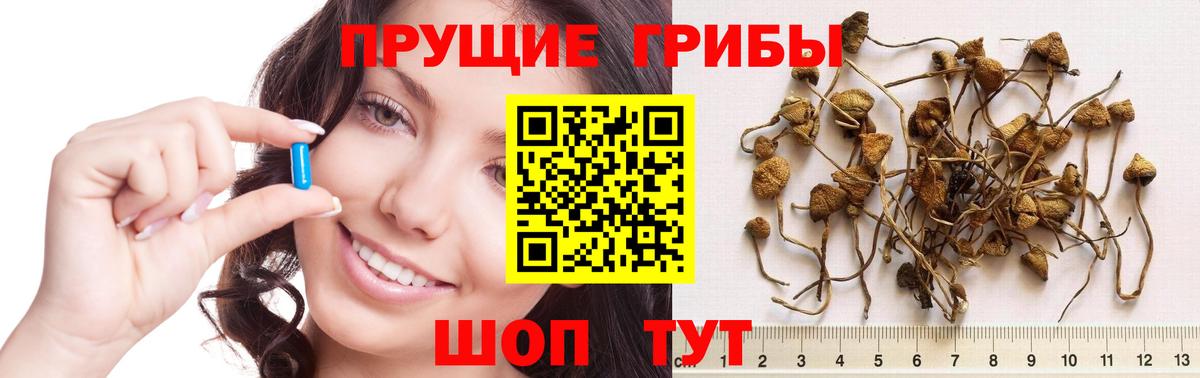 Надым  Галлюциногенные грибы мухоморы  Галлюциногенные грибы Psilocybine cubensis  Вход с VPN 
